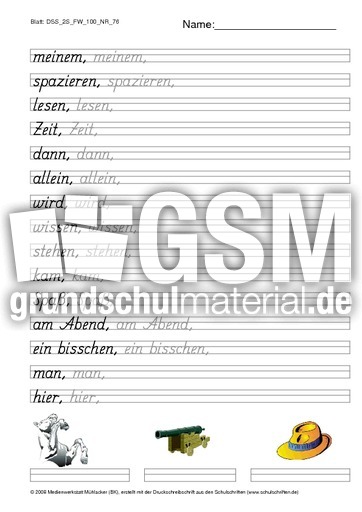 DSS_2S_FW_100_NR_76.pdf